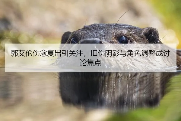 郭艾伦伤愈复出引关注，旧伤阴影与角色调整成讨论焦点